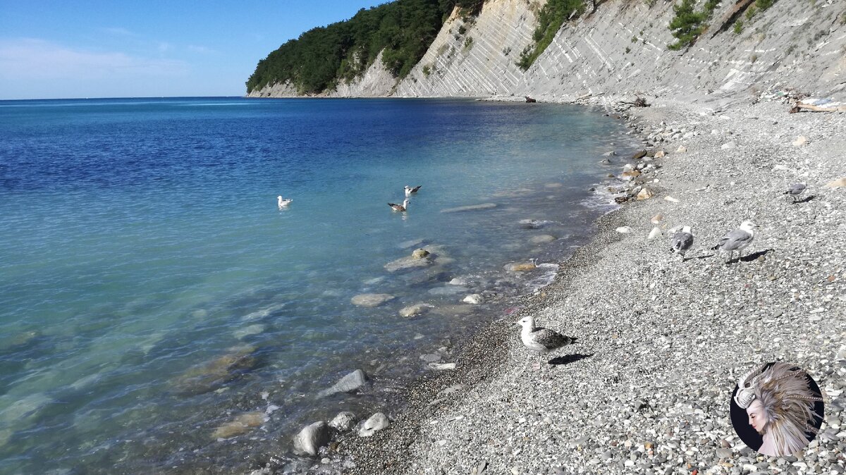 Бетта. Краснодарский край