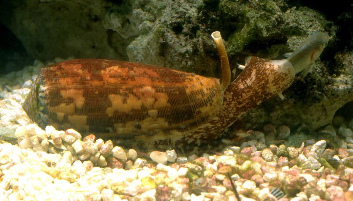 Источник: yandex.ru