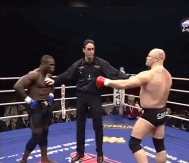 Фото из открытых источников /ссылка на канал ниже/