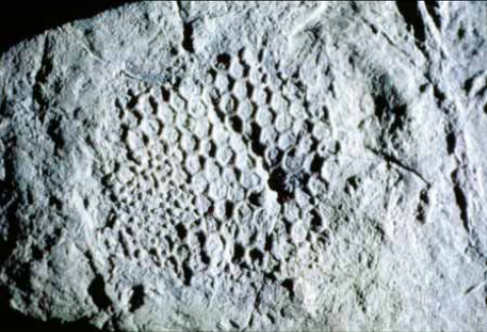 Примерно так это выглядит - похоже на лунные кратеры, не так ли?