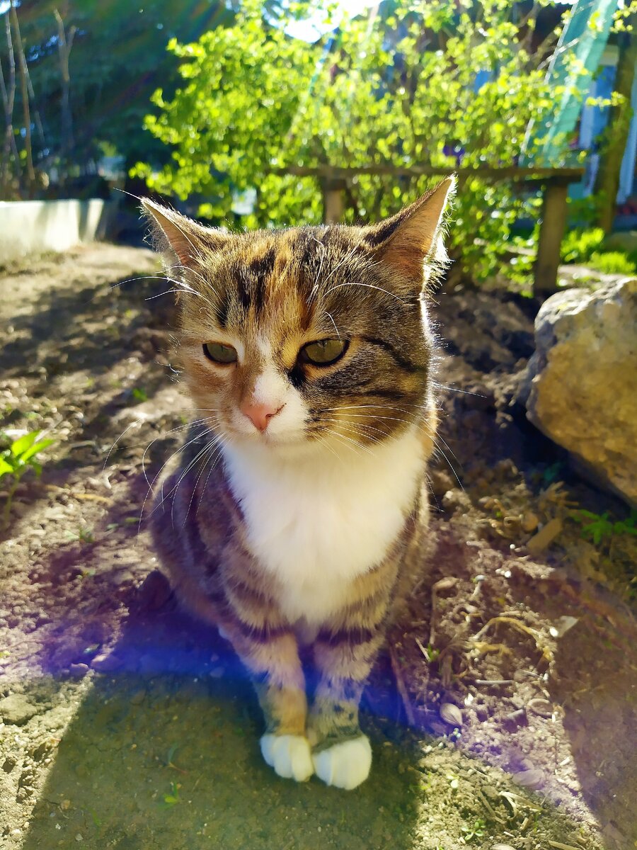 Моя помощница Люся