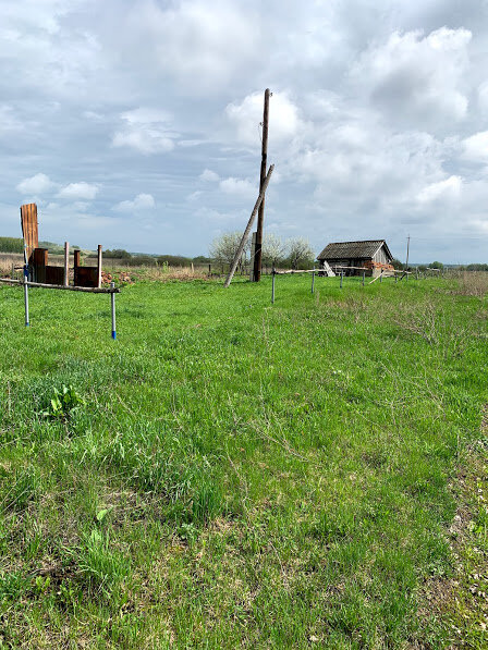 Сосновый Гарт Мордовия