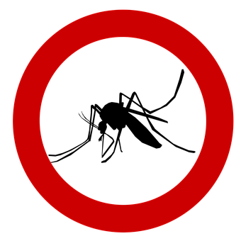 Считается, что именно сейчас начинают прилетать комары. Есть немало примет, связанных с этими насекомыми 
Сегодня, 26 мая, вспоминают праведную деву – Гликерию. О ней практически не осталось никаких сведений. Известно лишь то, что Гликерия погибла, будучи еще совсем юной девушкой. В середине XVI века ее начали почитать, как чудотворицу, так как возле ее тела происходили чудеса исцеления.

В древности этот день называли по-разному: Лукерья, Гречишница, Комарница, Лушка. В этот период собирали целебные травы, а также работали в поле.

Появлялись к 26 мая комары. Предки считали, что осенью насекомых ветер уносит на юг, в заморские страны, а весной они снова возвращаются. Селяне верили, что, если с этого дня и до двадцатых чисел июня хотя бы одного комара убить, то на смену ему еще дюжина прилетит. Вообще же, существовало очень много добрых примет, которые были связаны с комарами. Говорили: "Если на Лукерью много комаров — готовь для ягод коробов; если много мошек — готовь для грибов лукошек".

Все мужчины, как правило, в это время практически все время работали в поле, а женщины носили им еду.

Если человек родился в день 26 мая, то будет язвительым и острым на язык.

Народные приметы 26 мая

Если на Лукерью появились комары - примета к тому, что хорошая погода установится

Много комаров - будет много грибов

Ласточки 26 мая летают в большом количестве - скоро наступят теплые дни

Можно начинать собирать лекарственные травы - они будут иметь целебную силу

Много мошкары 26 мая - будет богатый урожай грибов

Комаров мало - значит, не будет травы и овса

Комаров нет - примета к тому, что в мае дождей не будет

Появились большие комары - год будет очень удачным

Комары появились - пора сеять рожь. Также это предвещало теплые дни