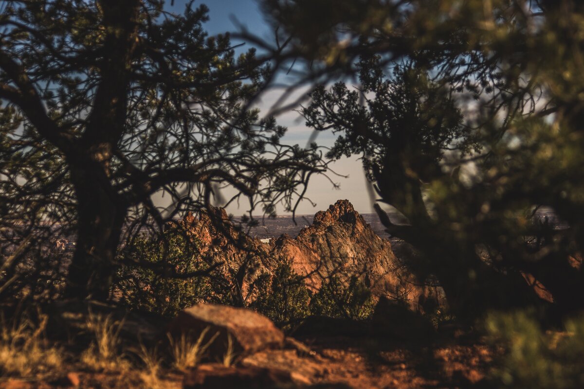 Photo by Matt Antonioli on Unsplash