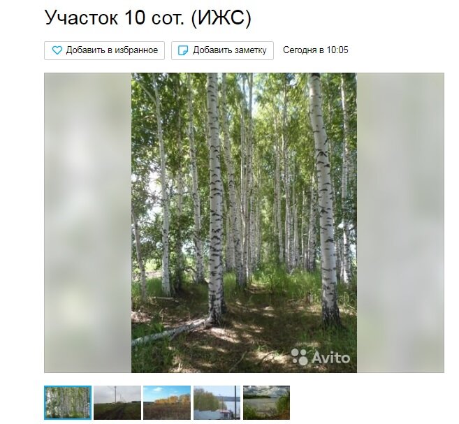 скриншот реального объявления на авито
