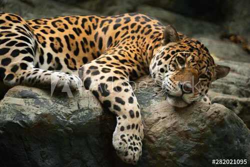 фото взято с https://www.publicdomainpictures.net/