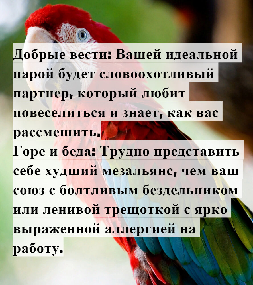 Тест: Какие люди помогают вам в жизни, а какие тянут вниз? | Без права на  ошибку | Дзен