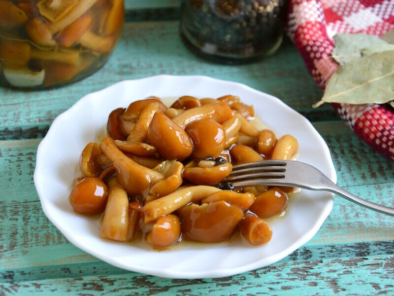 Галерея фотографий наших рецептов заготовок из грибов