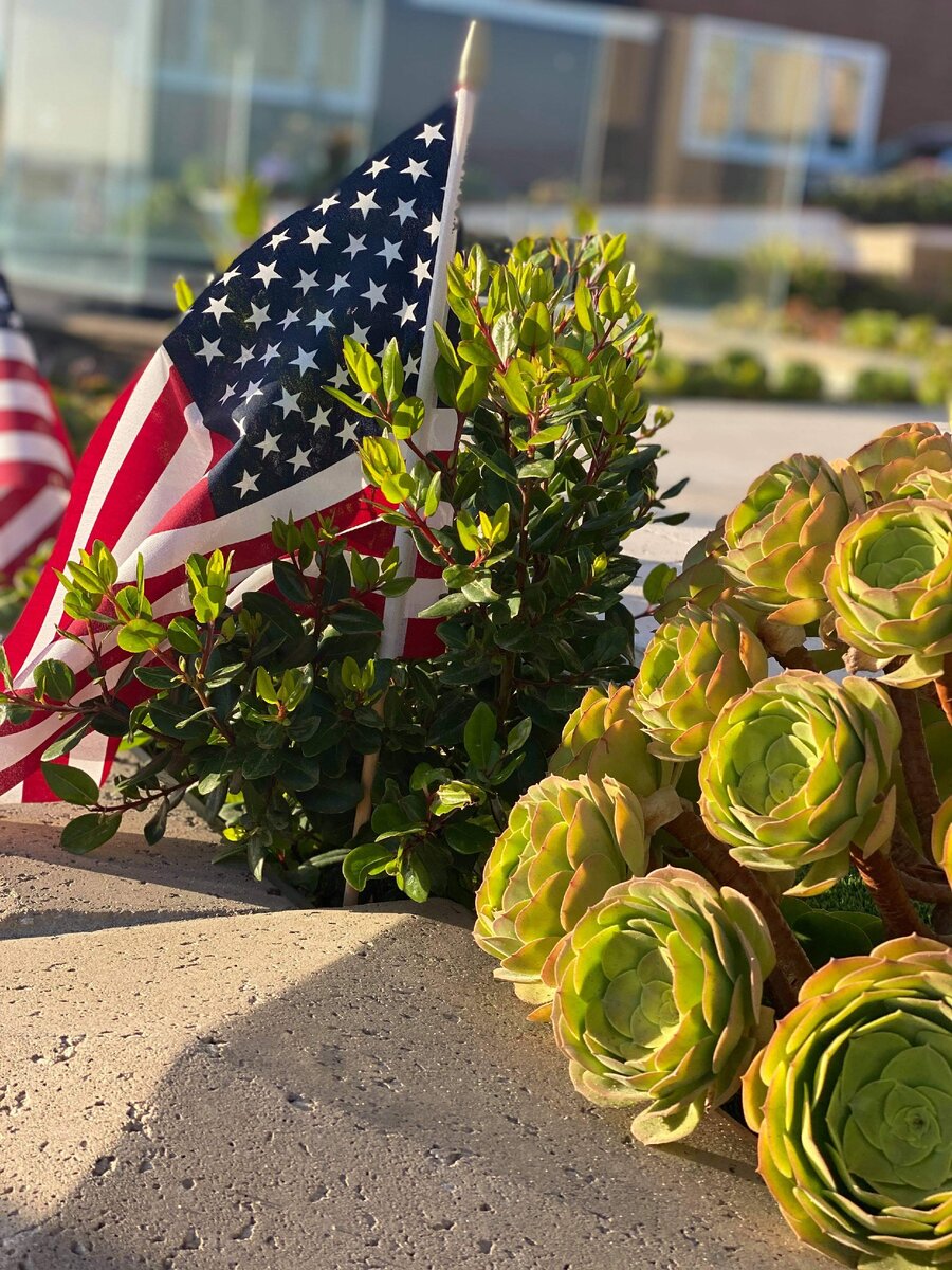 Грин карта в США