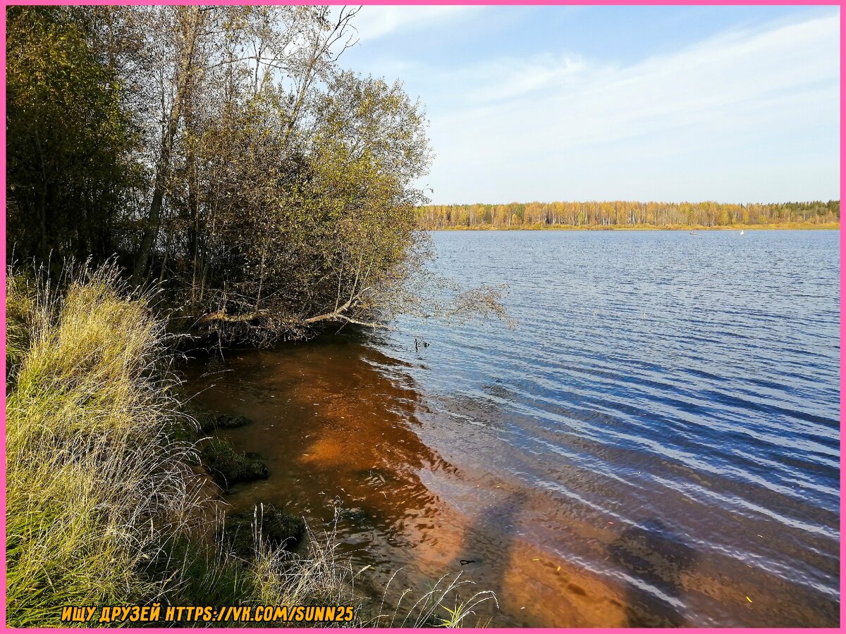 река шексна череповец