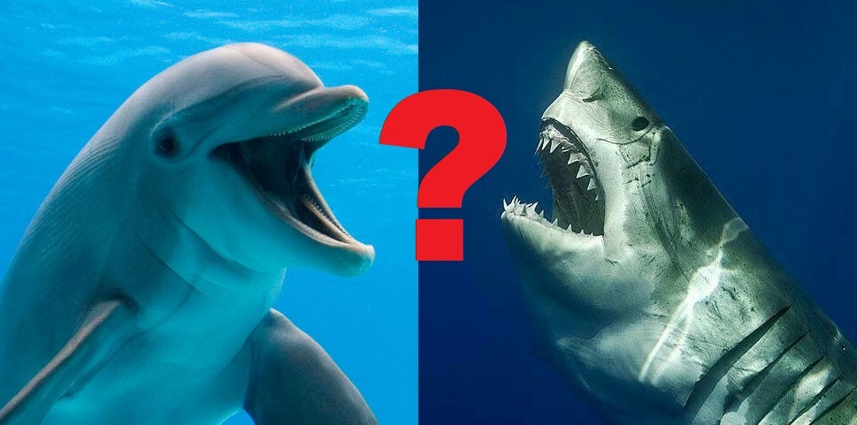 Так кто кого?