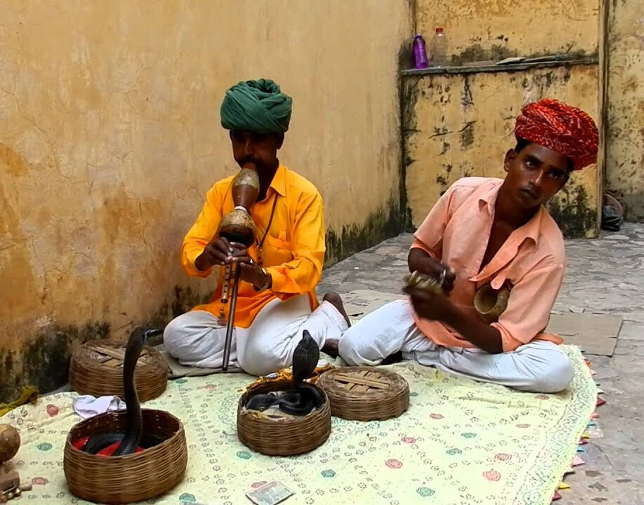 Кобра нужна