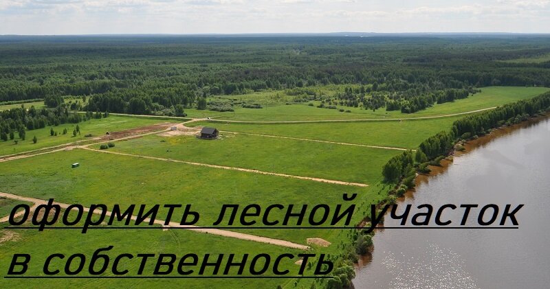 оформить лесной участок в собственность