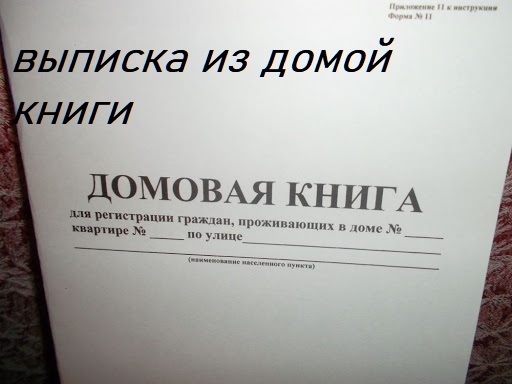 выписку из домой книги