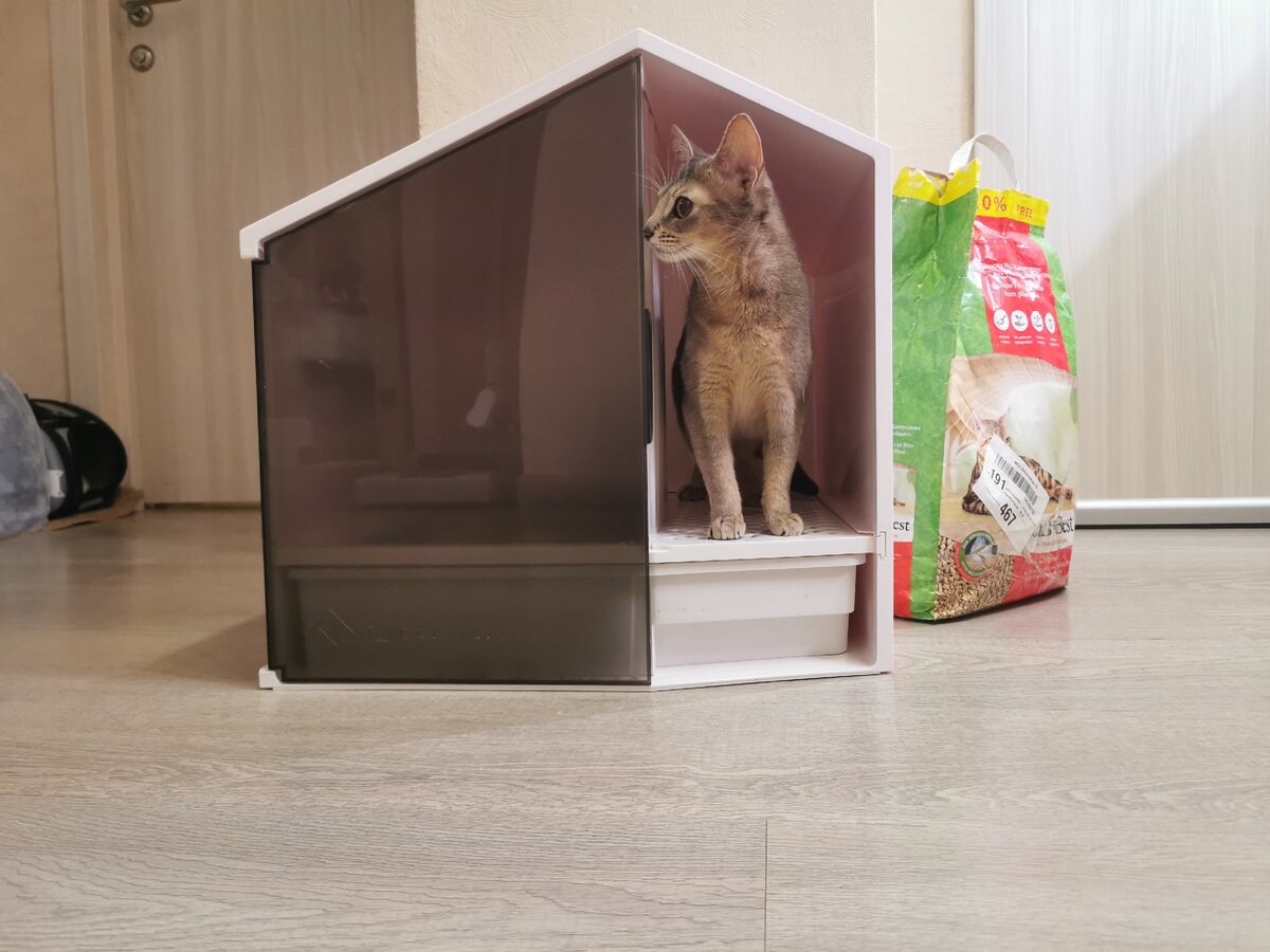 А где запах???