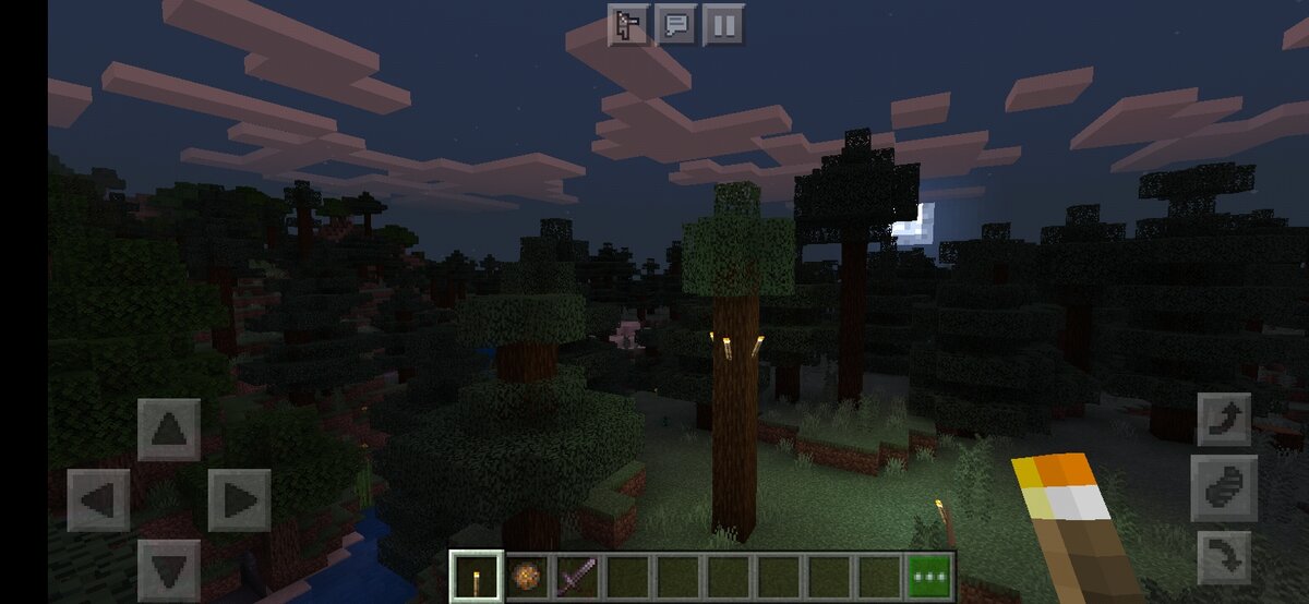 проверка сида. проверка сида. проверка сида. проверка сида. ключ генерации в minecraft на skyblock.