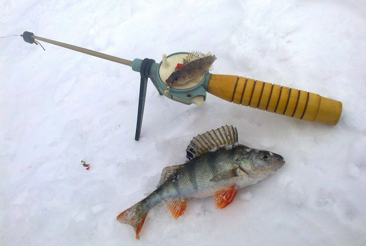 Платная зимняя рыбалка в Подмосковье