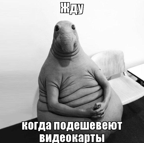 мемчики из времен, когда майнеры скупили все видеокарты, как никогда актуальны сейчас