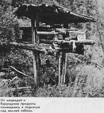 Фото В. Пескова