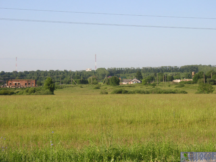 Деревня Космачи, вид с трассы.