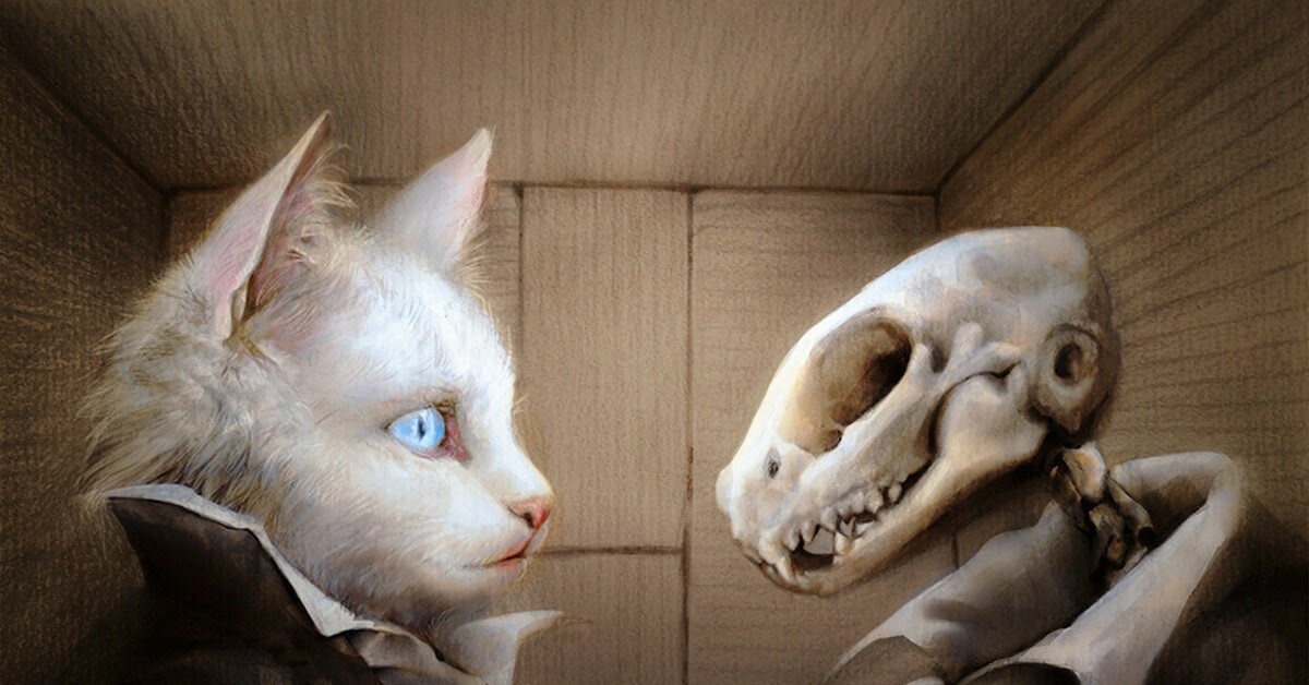 Кот и Шредингер