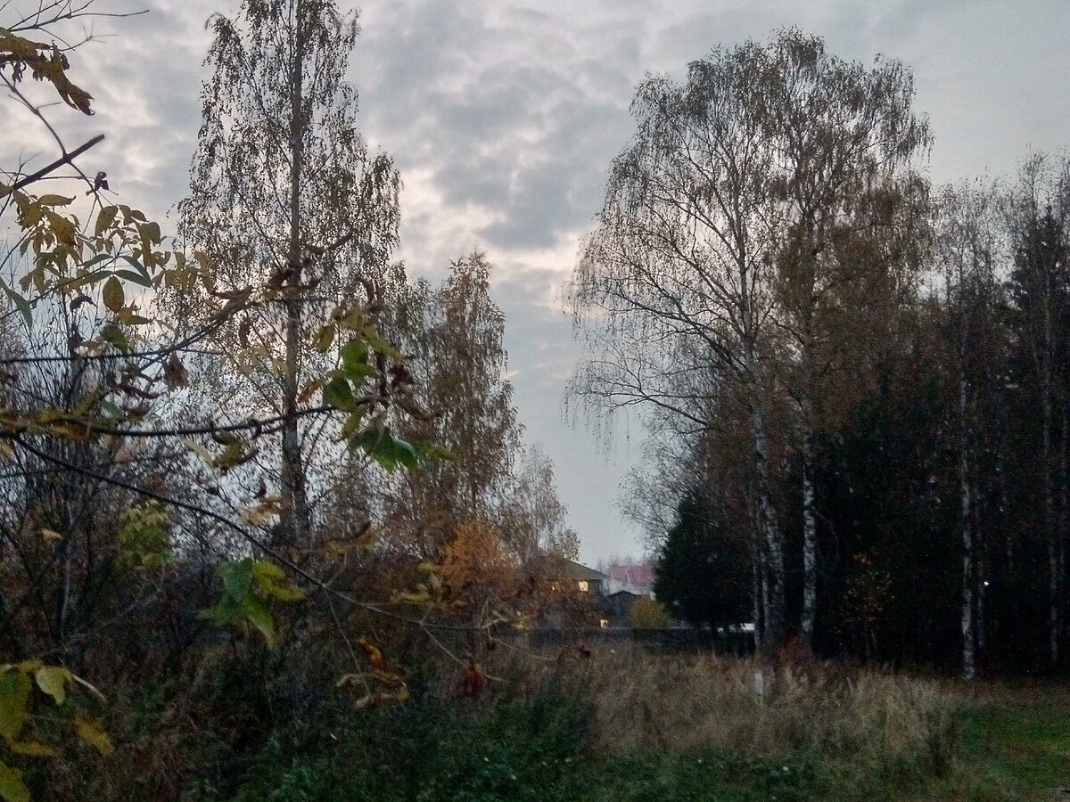 Фото автора. Там, вдали, окон свет...