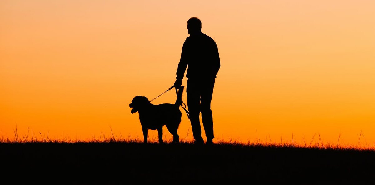 Яндекс картинки theconversation.com