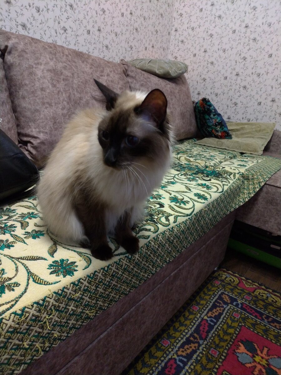 Этот диван мне ещё не знаком.