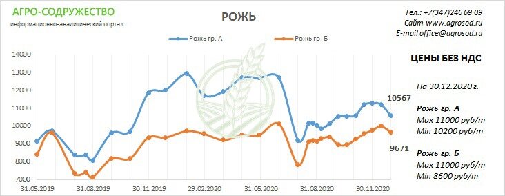 цена на рожь группа А и Б, без НДС