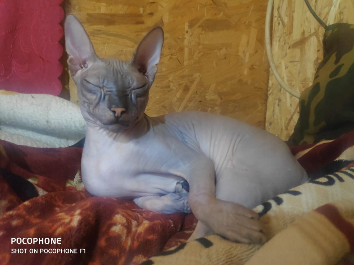 Вот сюда чмокай, ага.