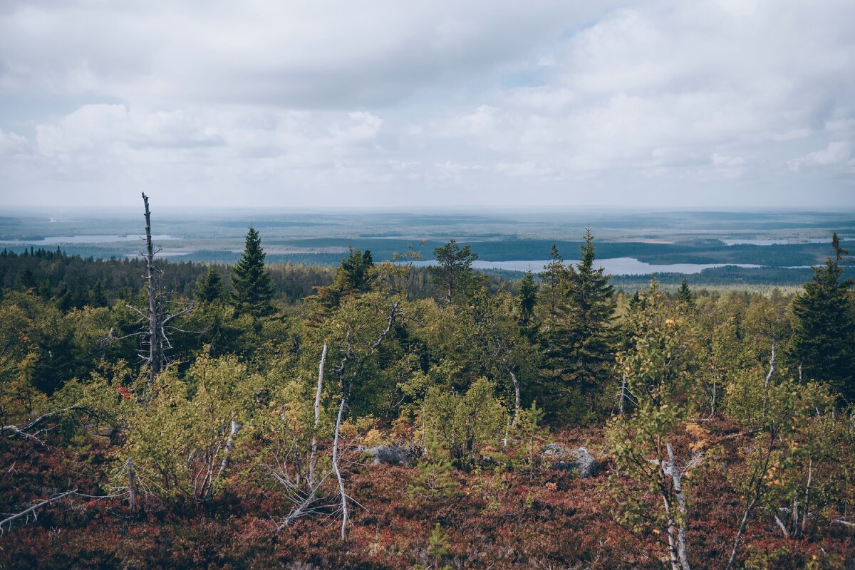 Фотографии сделаны на вершине горы