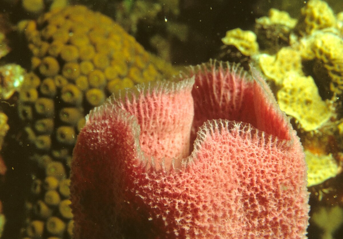 Photo by NOAA on Unsplash