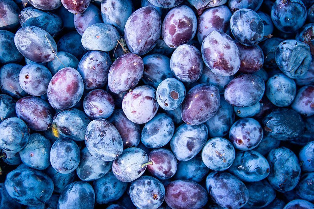 К сожалению, речь пойдет не о таких красивых и спелых сливах