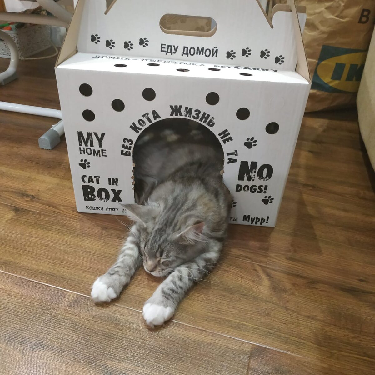 Первый день дома