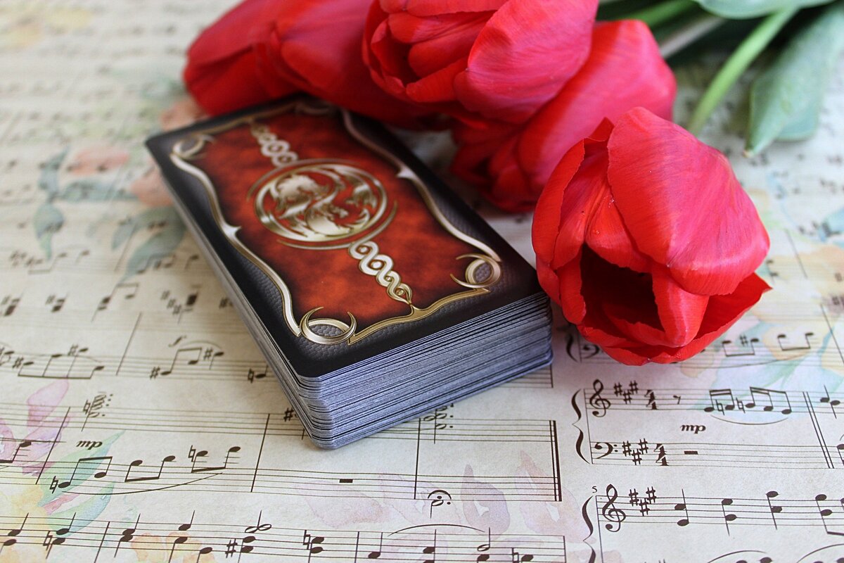 Здесь и далее - фото авторов