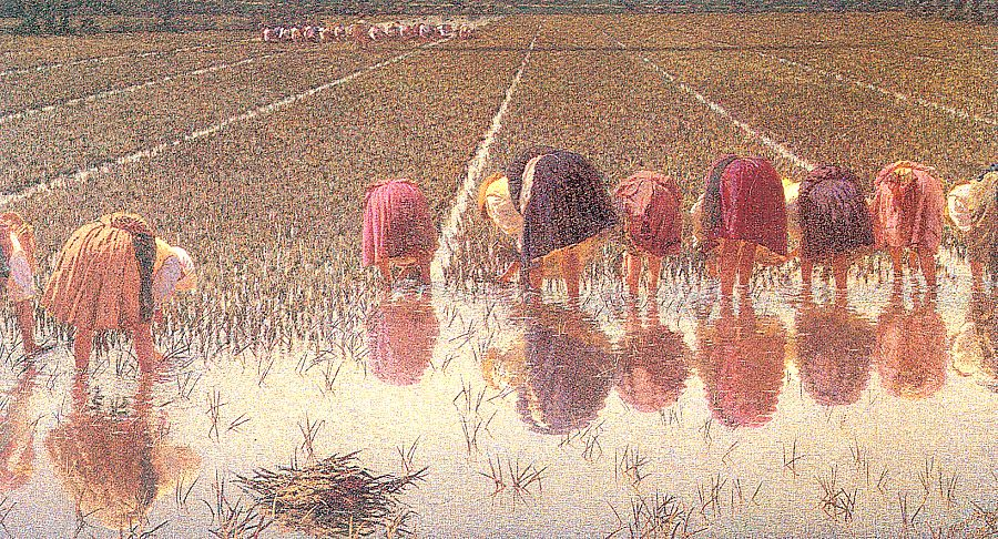 За восемьдесят центов! Анжело Морбелли 1895