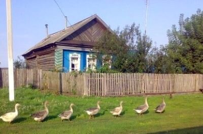 Фото из интернета