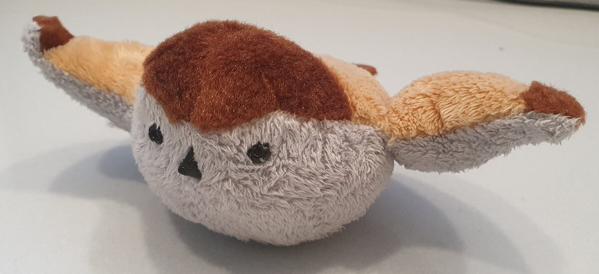 Награда старшего сына, этому воробушку 10 лет