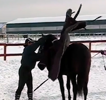 Фото - Я и Данглар продолжаем приучение