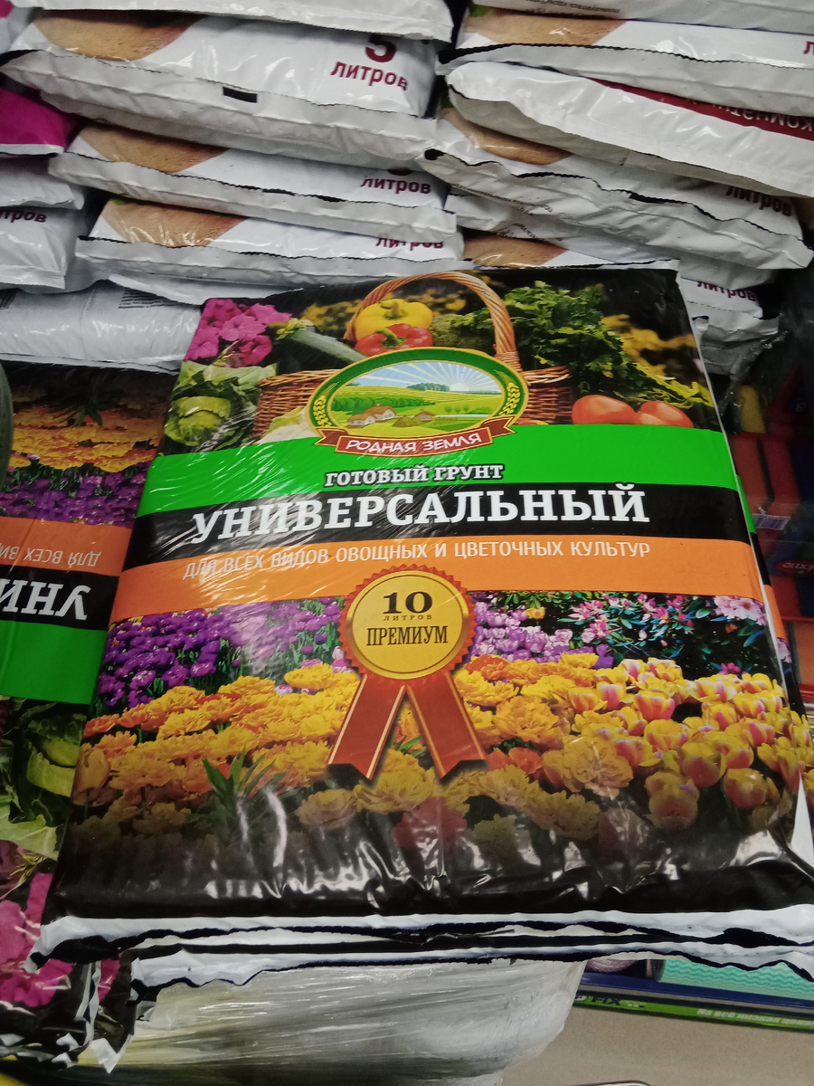 Личное фото. ДОМОВЕД.