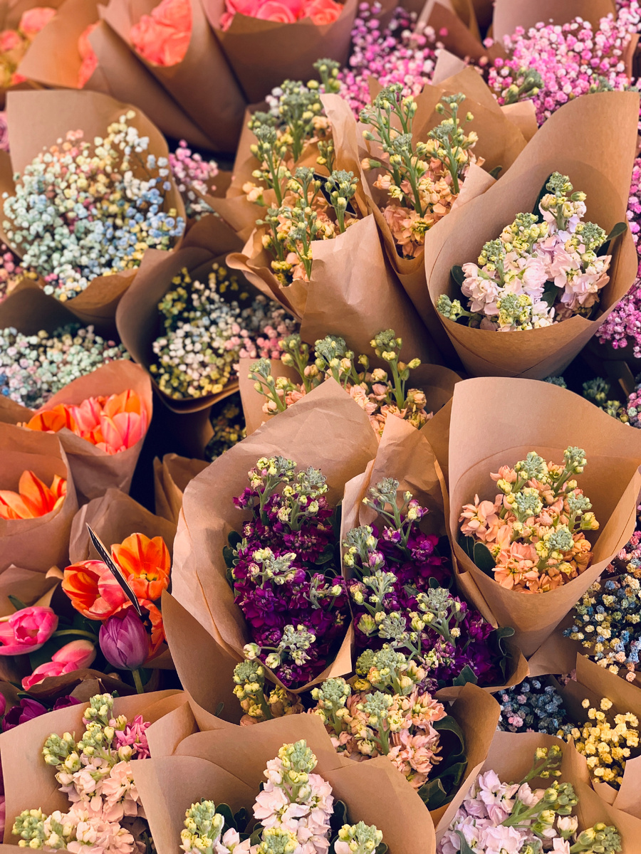 Photo by Cindy Chan on Unsplash