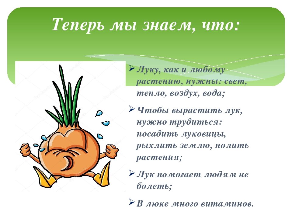 Лук от семи недуг проект 4 класс