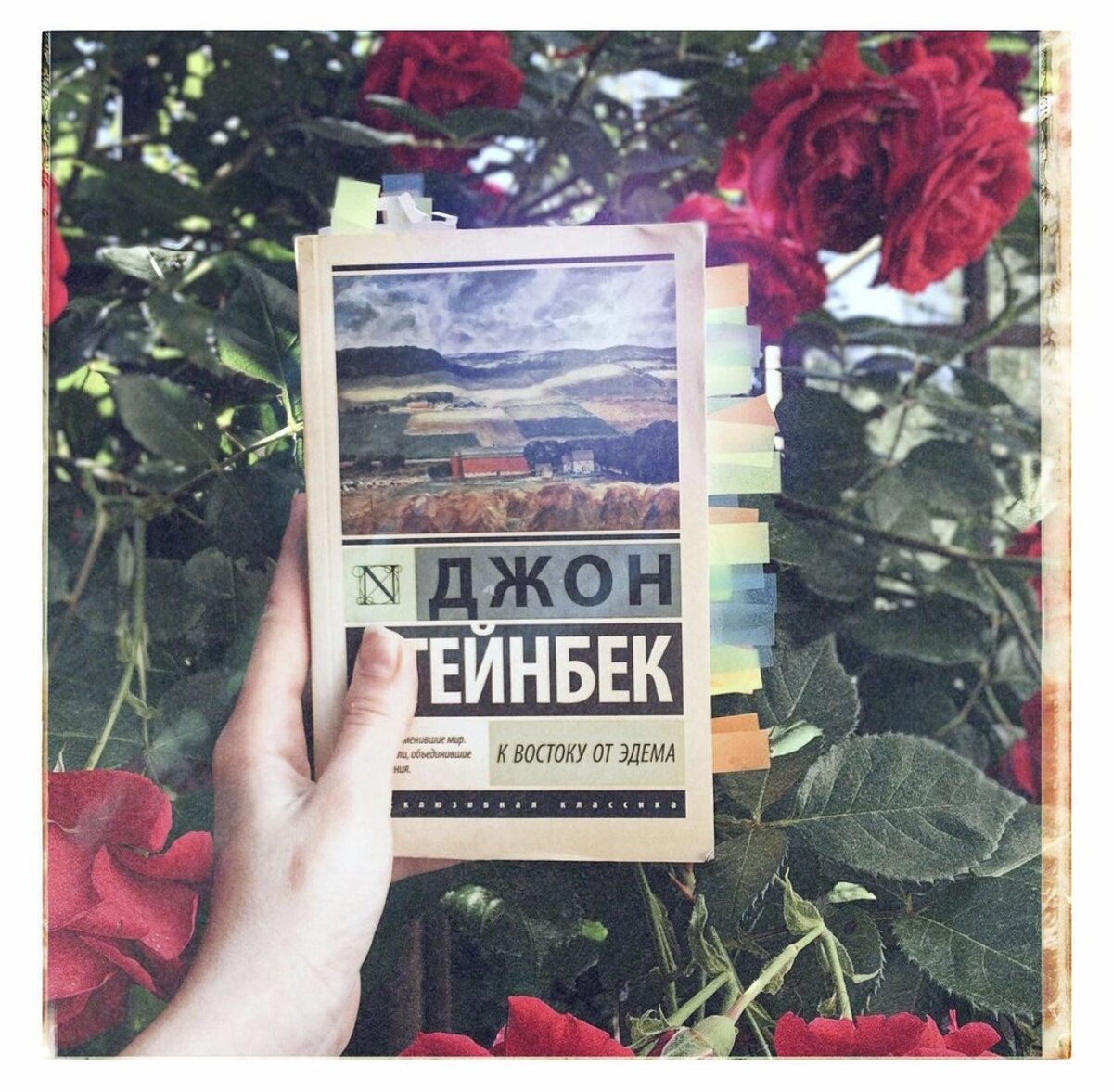 «И чего ты расстраиваешься, что, мол, люди думают о тебе плохо? Да они вообще о тебе не думают»