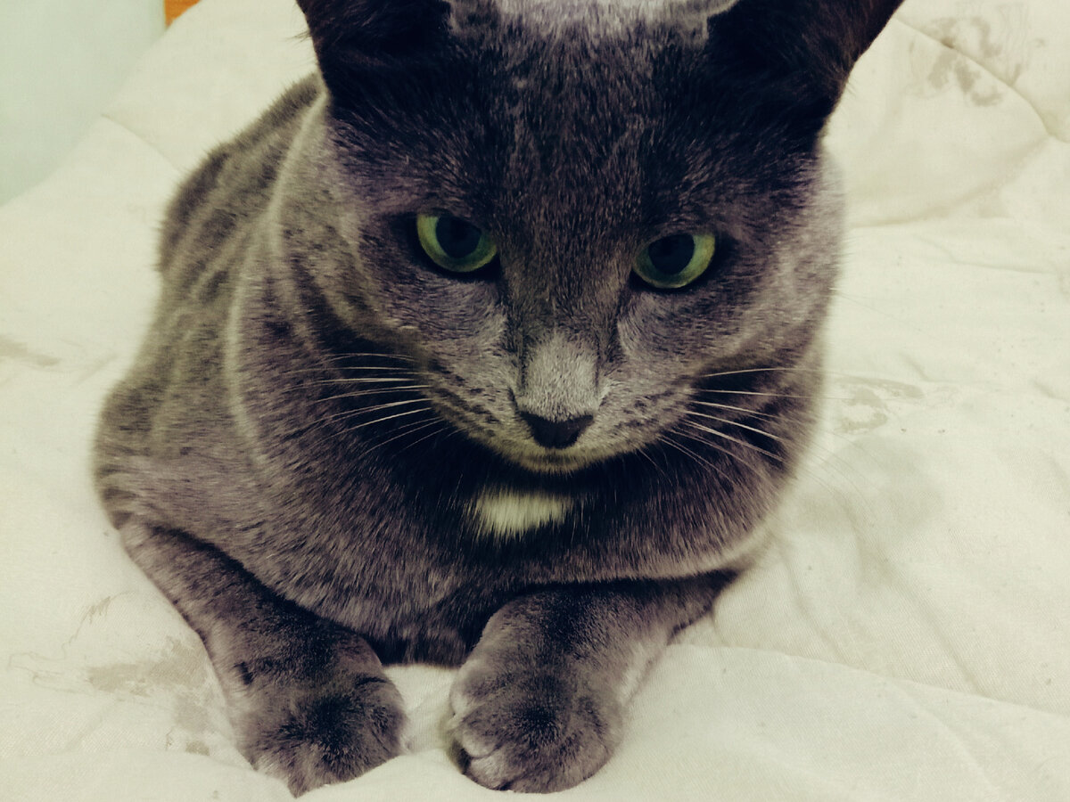 Могу копать, могу не копать