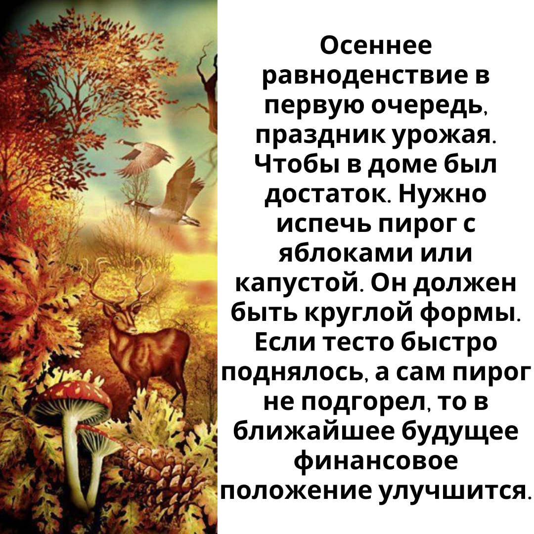 День осеннего равноденствия в 2023. День осеннего равноденствия стихи. Осеннее равноденствие ритуалы. Шаль осеннее равноденствие описание.