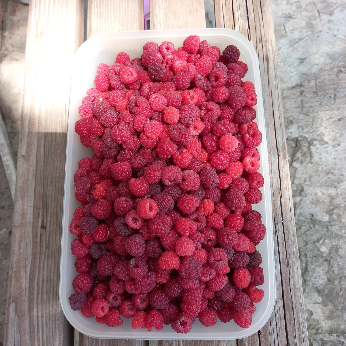 Все ягоды ровные, крупные...