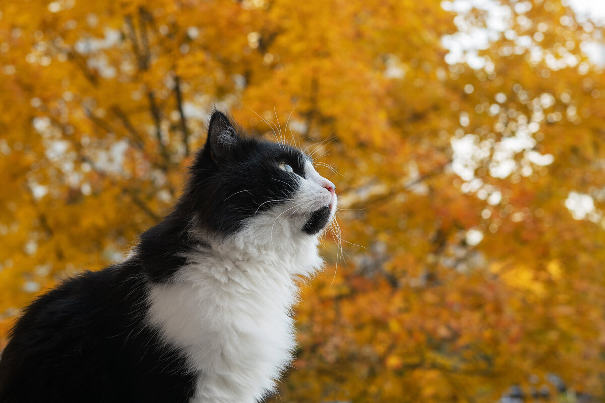  Фото Юлии Зябловой на Unsplash  
