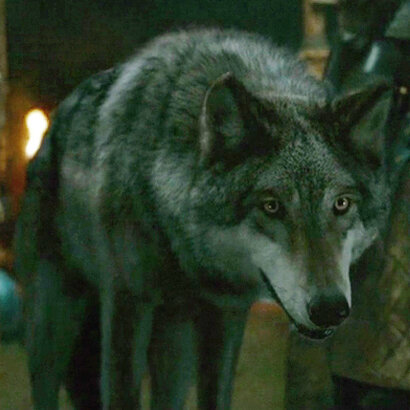 Серый ветер в молодости