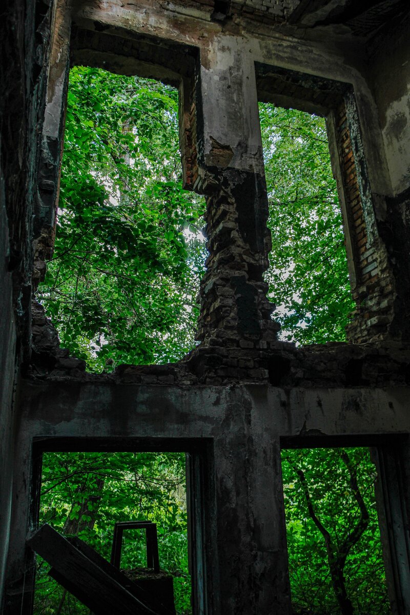 Оконный вид с лестницы.