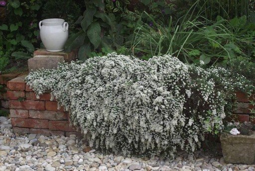 фото из интернета для наглядности